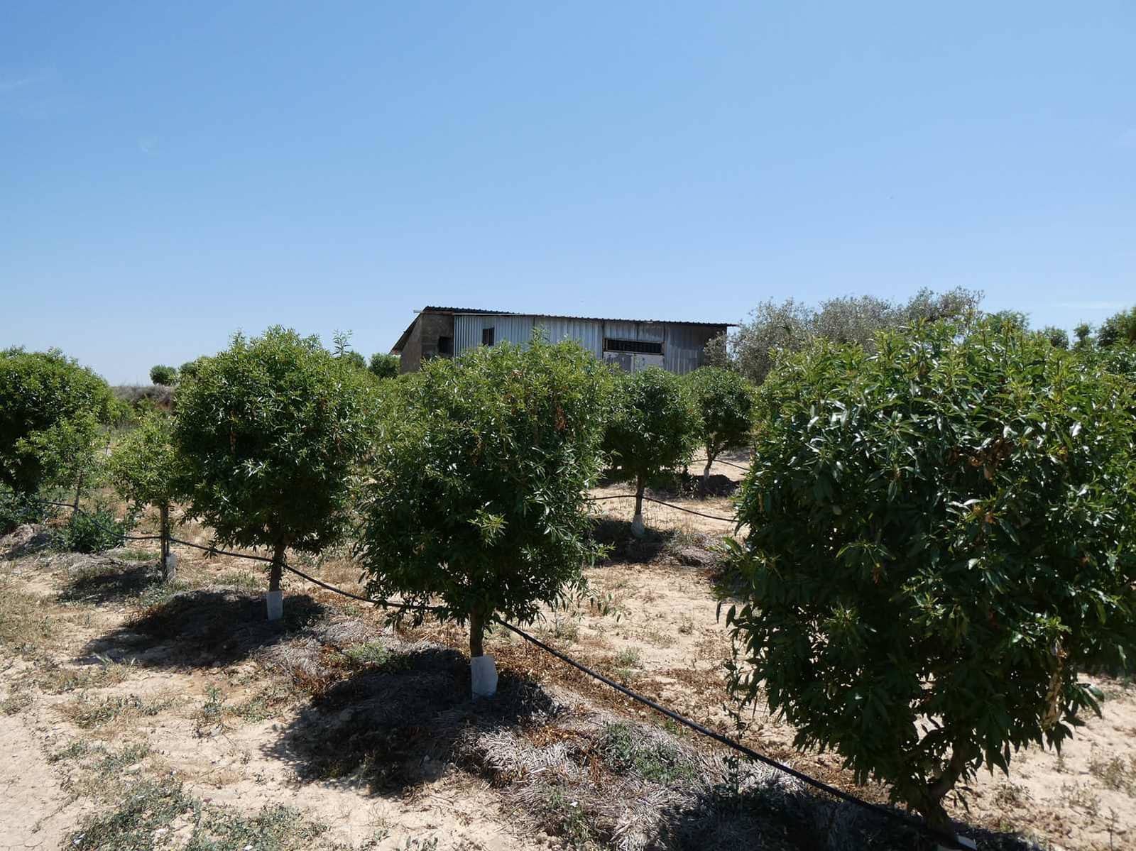 2 slaapkamer Finca/Landhuis te koop in Caspe met zwembad garage - € 149.000 (Ref: 7774812)