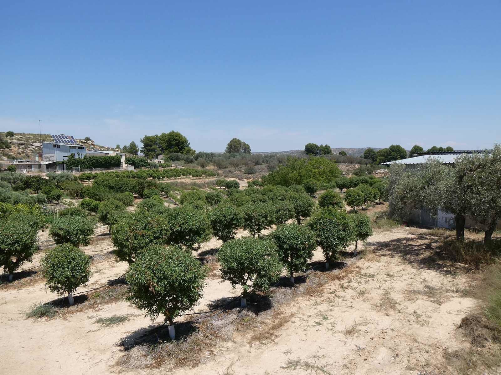 2 slaapkamer Finca/Landhuis te koop in Caspe met zwembad garage - € 149.000 (Ref: 7774812)