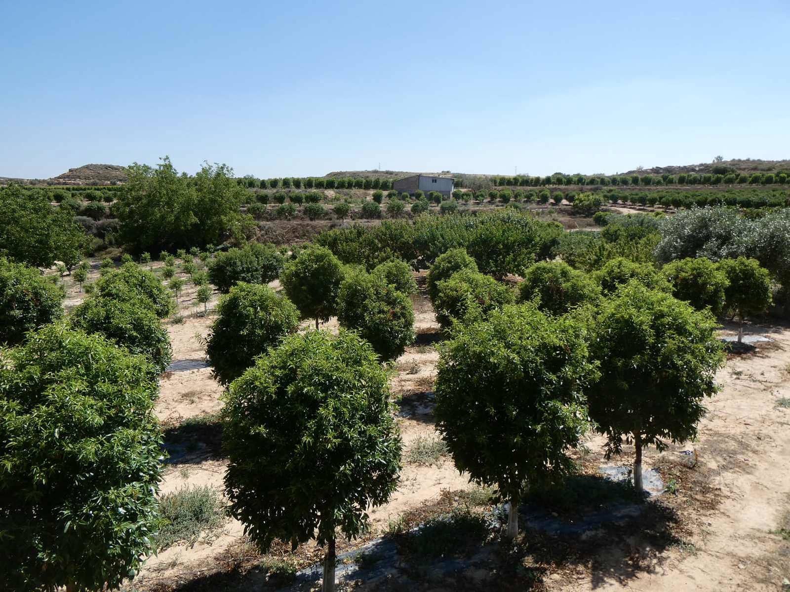 2 slaapkamer Finca/Landhuis te koop in Caspe met zwembad garage - € 149.000 (Ref: 7774812)