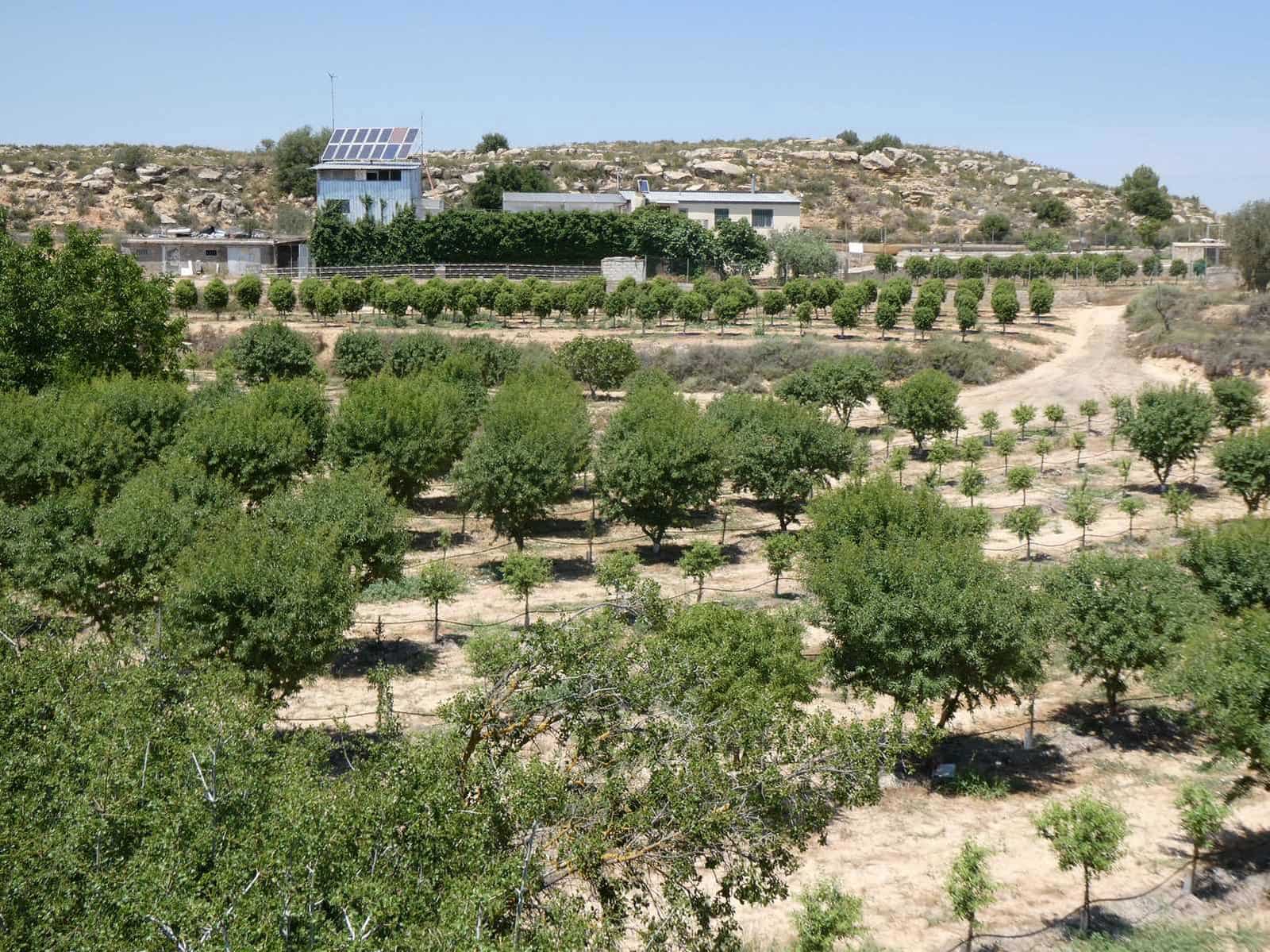2 slaapkamer Finca/Landhuis te koop in Caspe met zwembad garage - € 149.000 (Ref: 7774812)