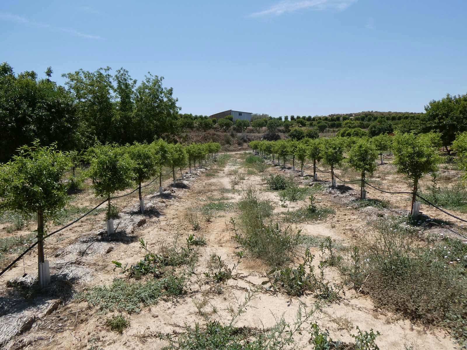2 slaapkamer Finca/Landhuis te koop in Caspe met zwembad garage - € 149.000 (Ref: 7774812)