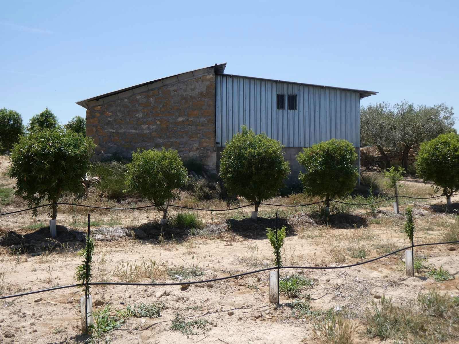 2 slaapkamer Finca/Landhuis te koop in Caspe met zwembad garage - € 149.000 (Ref: 7774812)