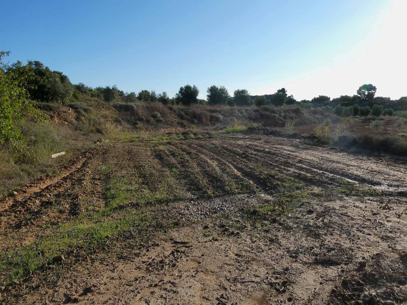 1 sypialnia Finka/Dom wiejski na sprzedaż w Maella - 68 000 € (Ref: 7804205)