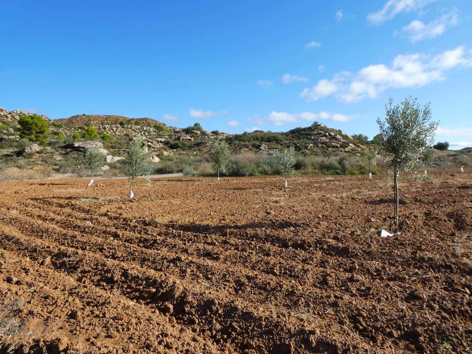 1 sypialnia Finka/Dom wiejski na sprzedaż w Maella - 68 000 € (Ref: 7804205)