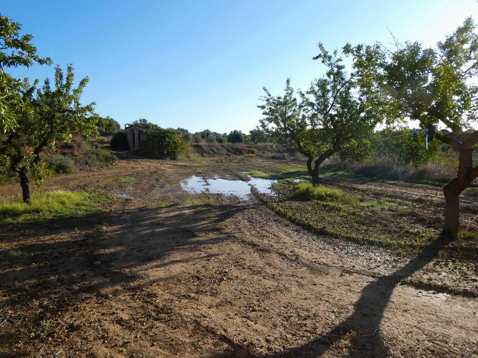 1 sypialnia Finka/Dom wiejski na sprzedaż w Maella - 68 000 € (Ref: 7804205)