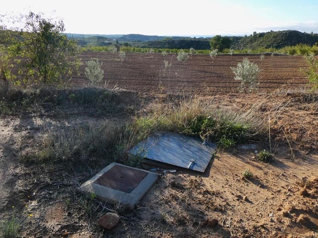 1 bedroom Finca/Country House for sale in Maella - € 68,000 (Ref: 7804205)