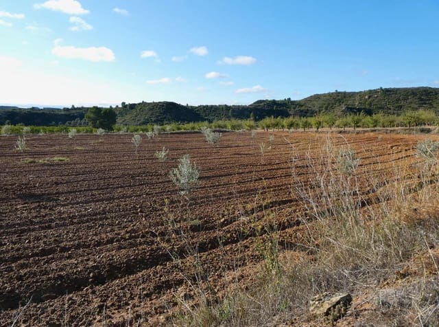 1 bedroom Finca/Country House for sale in Maella - € 68,000 (Ref: 7804205)