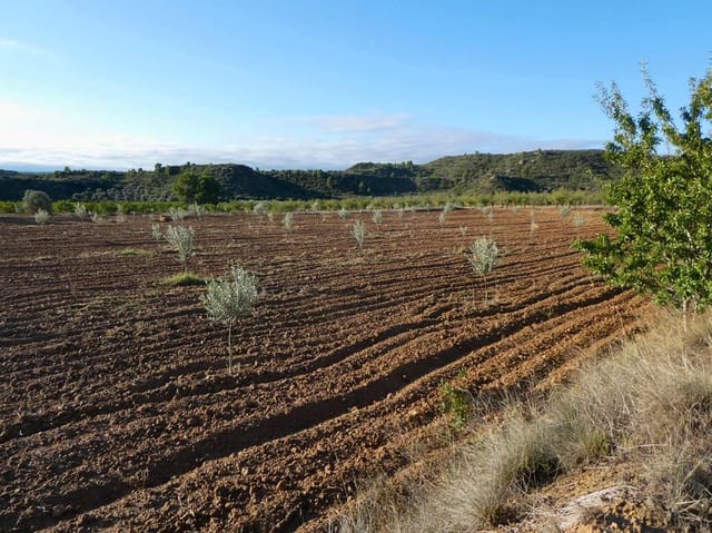 1 bedroom Finca/Country House for sale in Maella - € 68,000 (Ref: 7804205)
