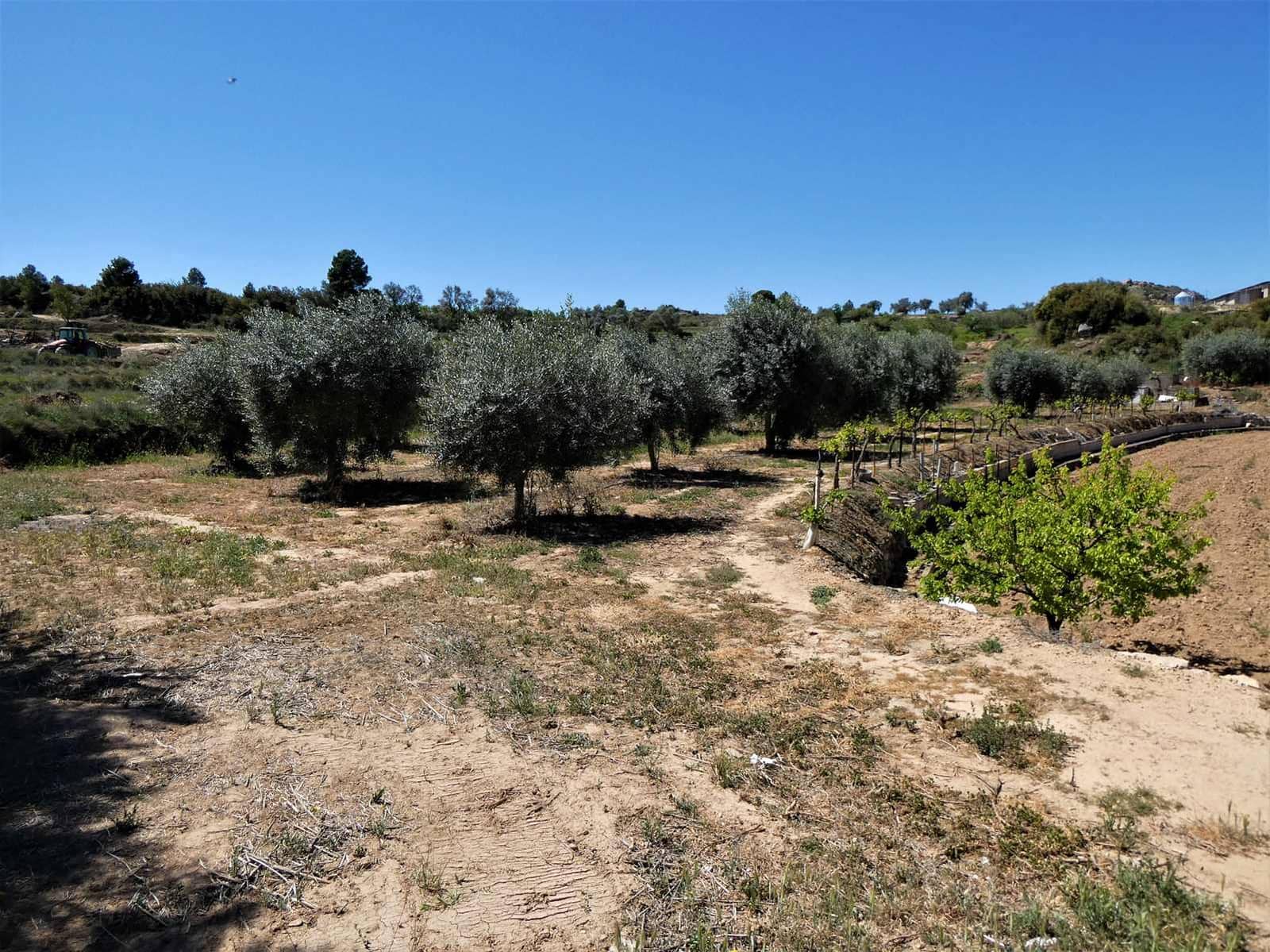 Finca/Landgut zu verkaufen in Caspe mit Pool Garage - 33.000 € (Ref: 7818986)