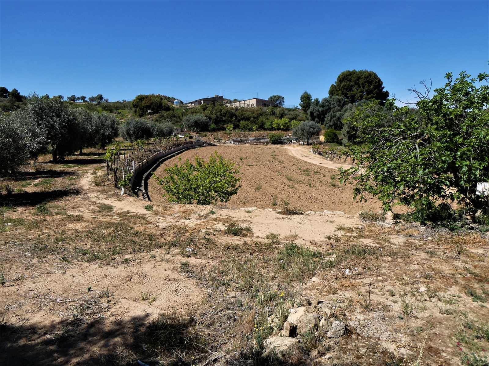 Finca/Landgut zu verkaufen in Caspe mit Pool Garage - 33.000 € (Ref: 7818986)