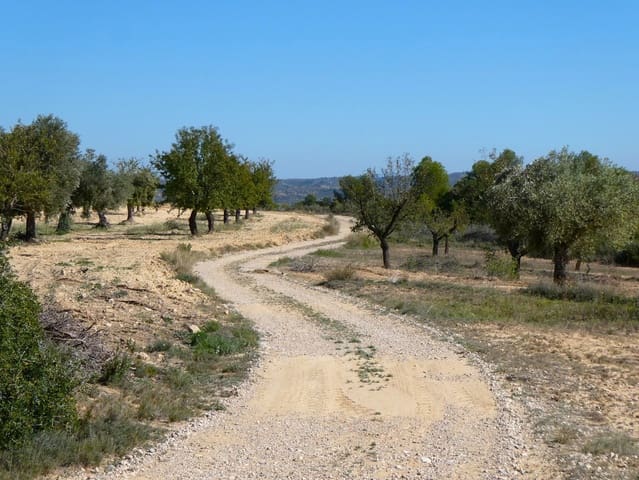 1 chambre Finca/Maison de Campagne à vendre à Maella - 66 000 € (Ref: 7850440)