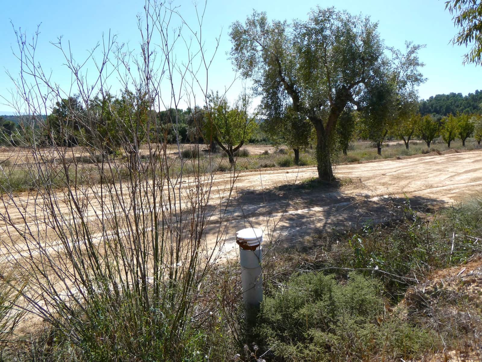 1 chambre Finca/Maison de Campagne à vendre à Maella - 66 000 € (Ref: 7850440)
