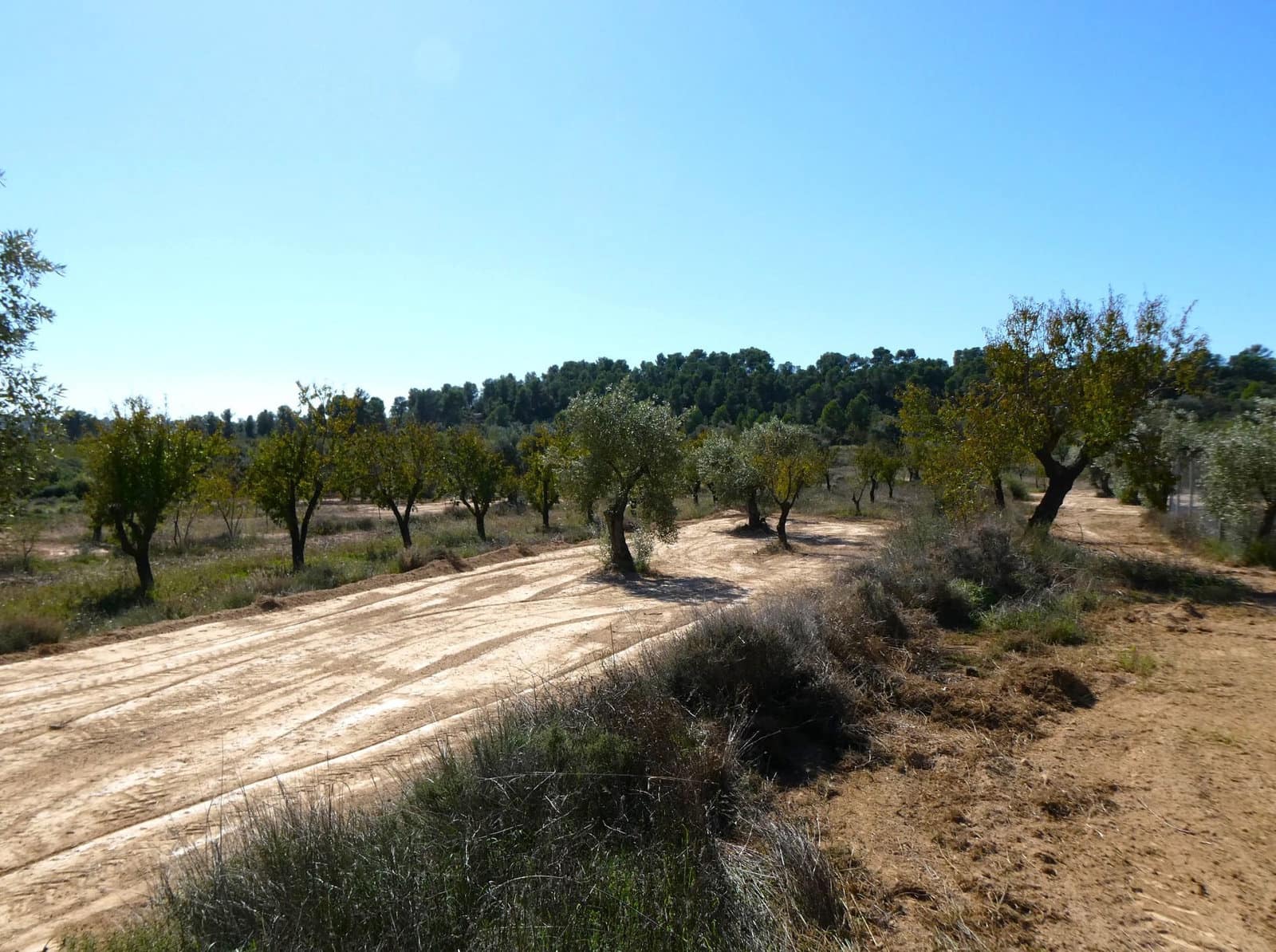 1 chambre Finca/Maison de Campagne à vendre à Maella - 66 000 € (Ref: 7850440)