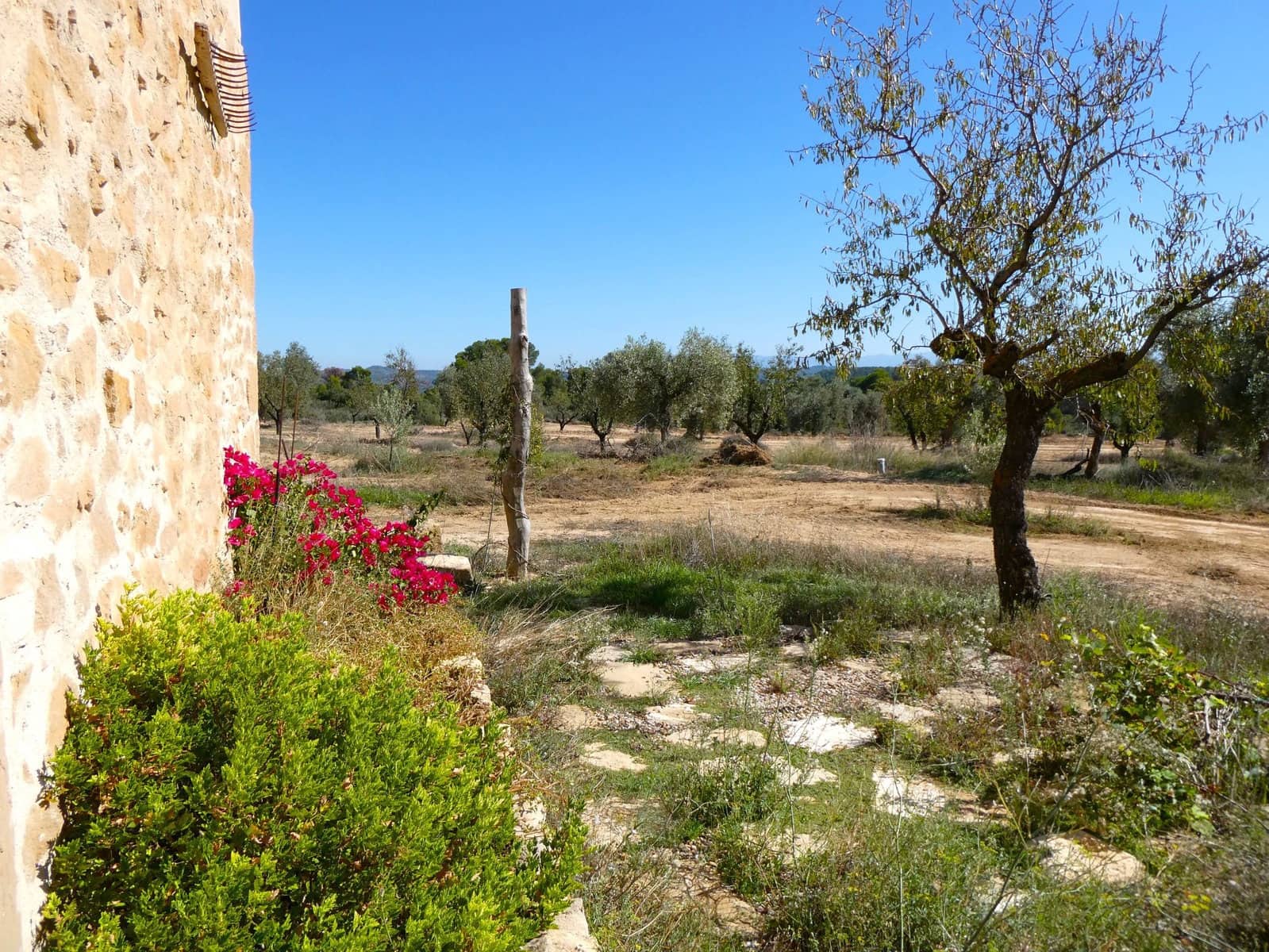 1 chambre Finca/Maison de Campagne à vendre à Maella - 66 000 € (Ref: 7850440)