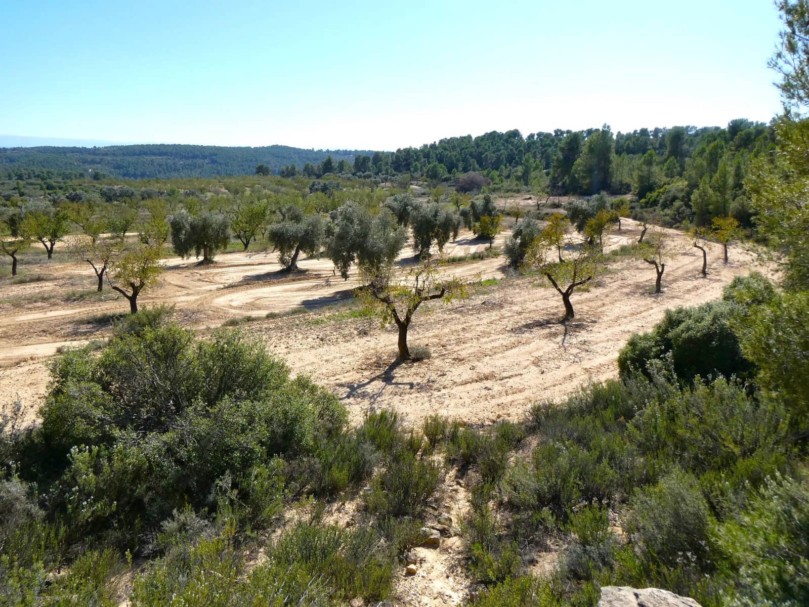 1 chambre Finca/Maison de Campagne à vendre à Maella - 66 000 € (Ref: 7850440)