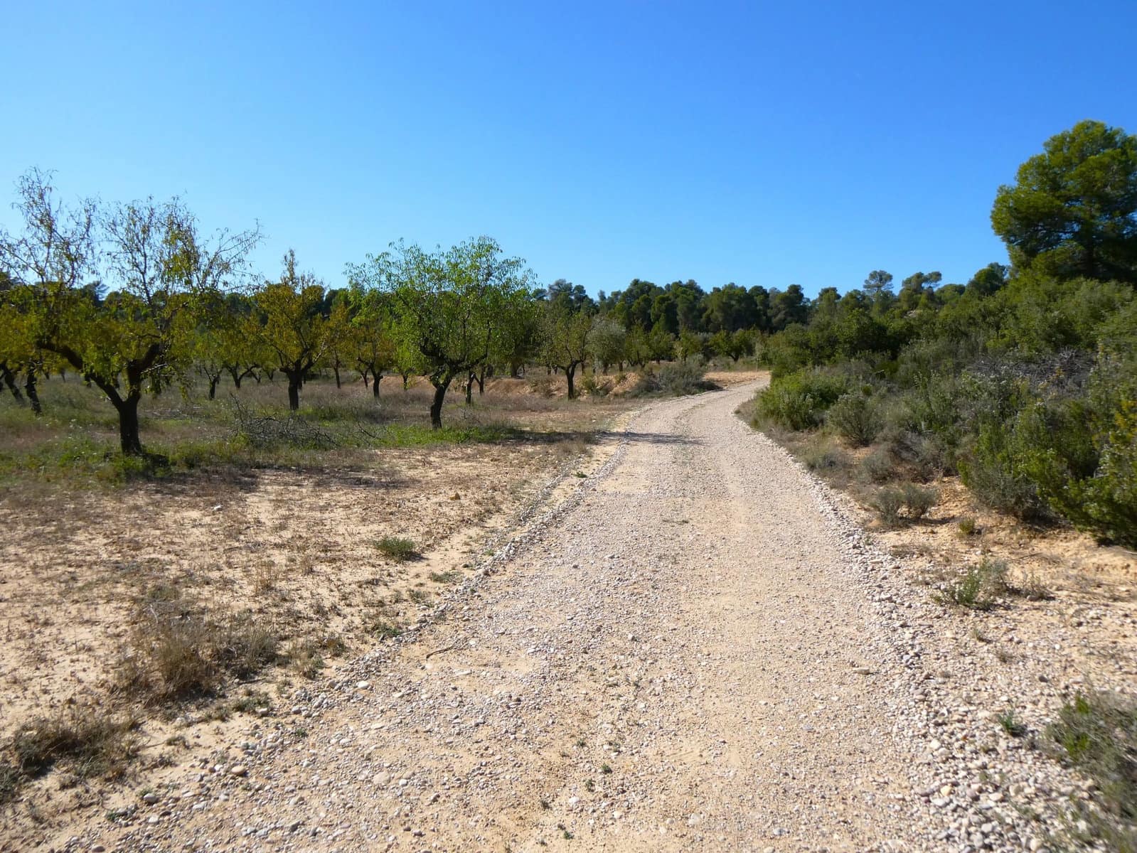 1 chambre Finca/Maison de Campagne à vendre à Maella - 66 000 € (Ref: 7850440)