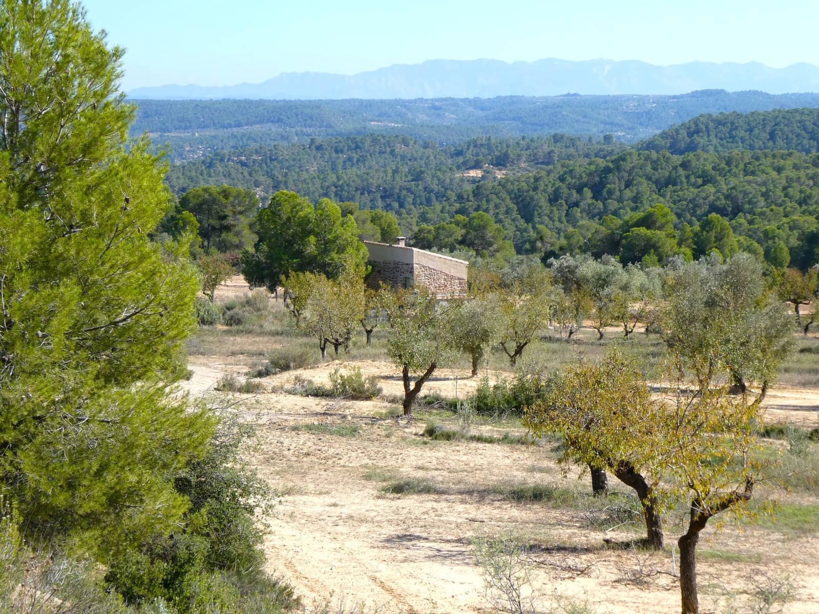1 chambre Finca/Maison de Campagne à vendre à Maella - 66 000 € (Ref: 7850440)