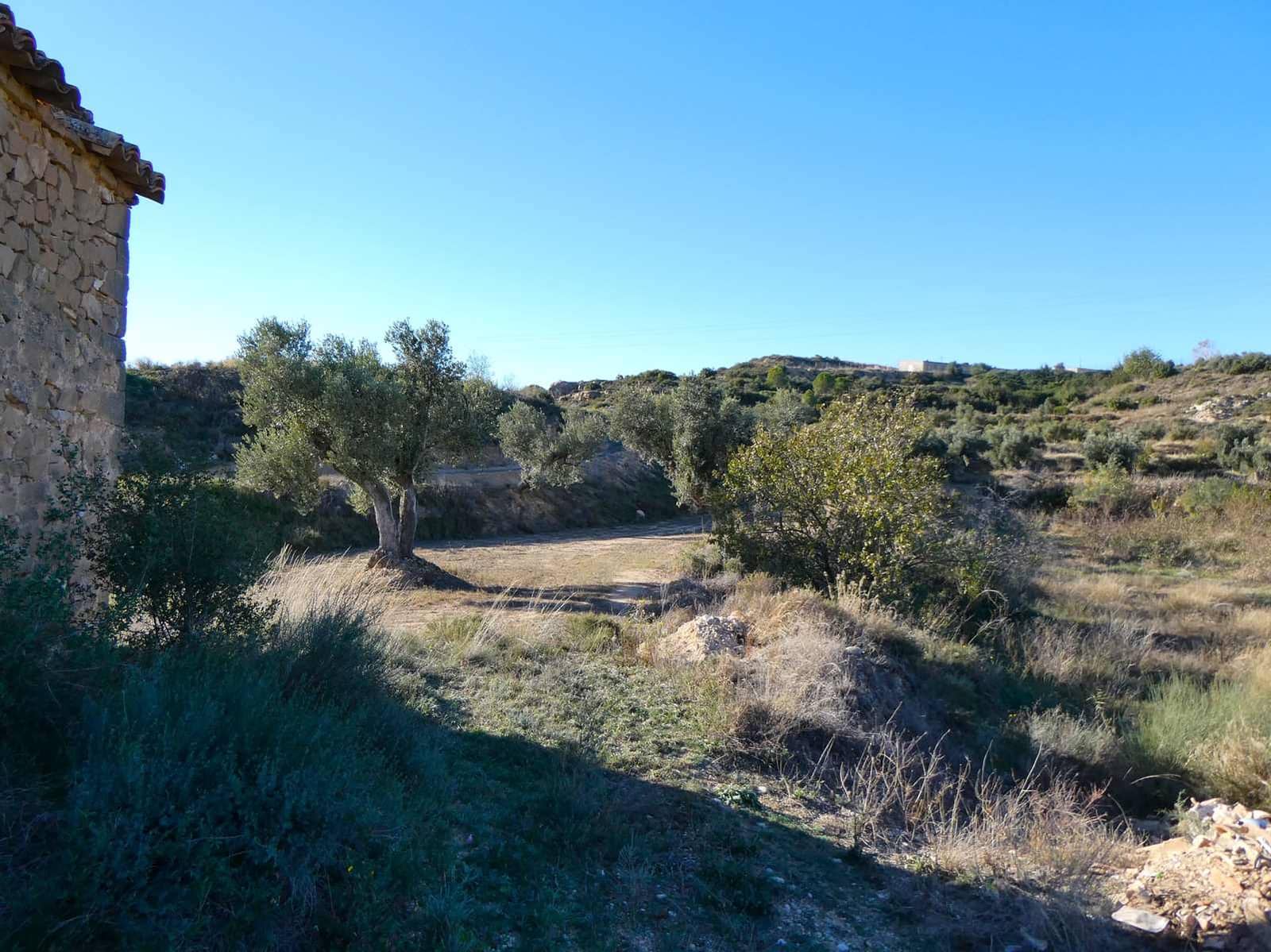 Finca/Country House for sale in Maella - € 15,500 (Ref: 7959352)