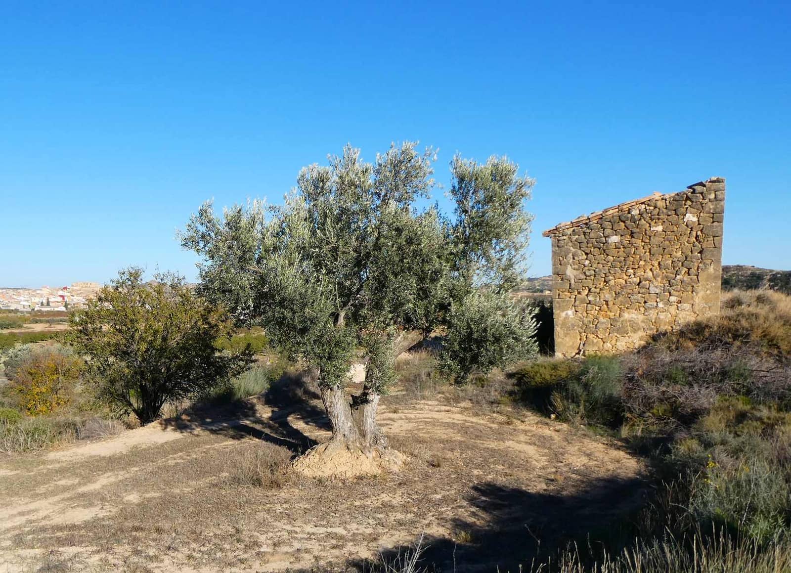 Finca/Country House for sale in Maella - € 15,500 (Ref: 7959352)