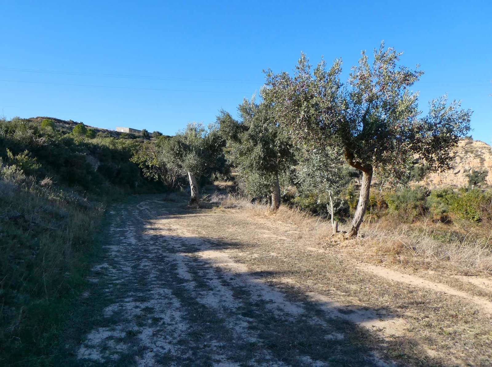 Finca/Landhuis te koop in Maella met garage - € 15.500 (Ref: 7959352)