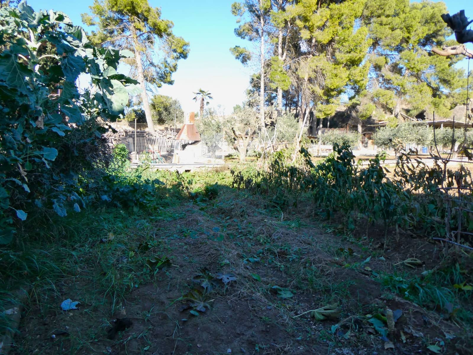 4 camera da letto Finca/Casa di Campagna in vendita in Caspe - 107.000 € (Rif: 7978033)