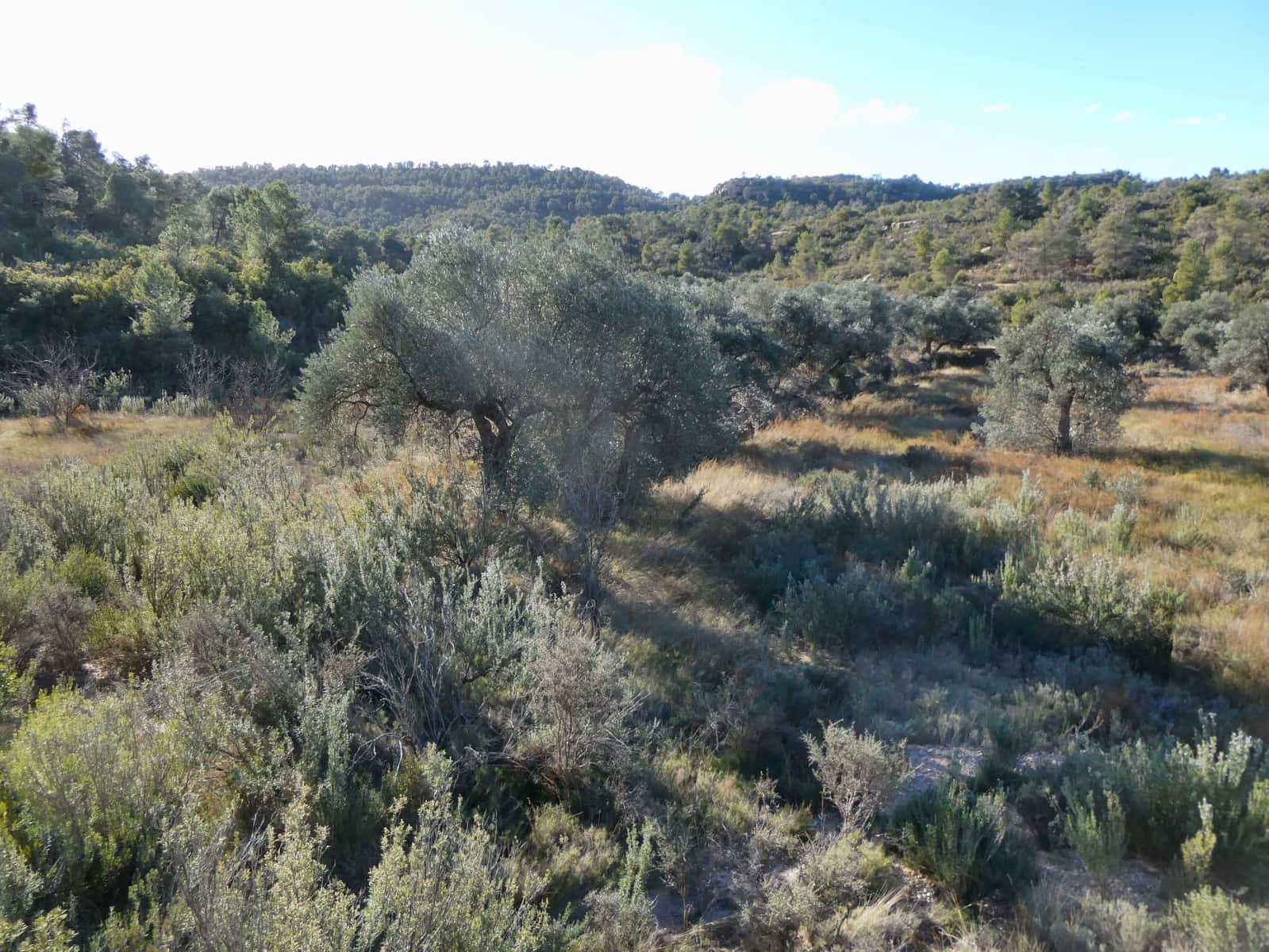 Finca/Herregård til salgs i Maella - € 7 500 (Ref: 7986067)