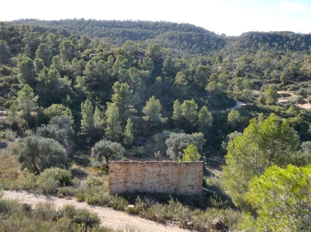 Finca/Casa di Campagna in vendita in Maella - 7.500 € (Rif: 7986067)