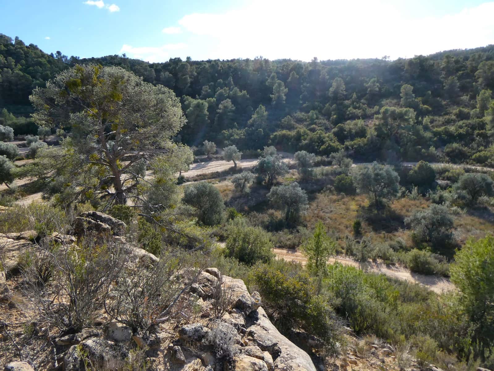 Finca/Herregård til salgs i Maella - € 7 500 (Ref: 7986067)