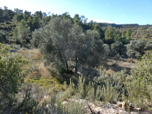 Finca/Casa di Campagna in vendita in Maella - 7.500 € (Rif: 7986067)