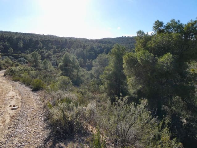 Finca/Casa di Campagna in vendita in Maella - 7.500 € (Rif: 7986067)