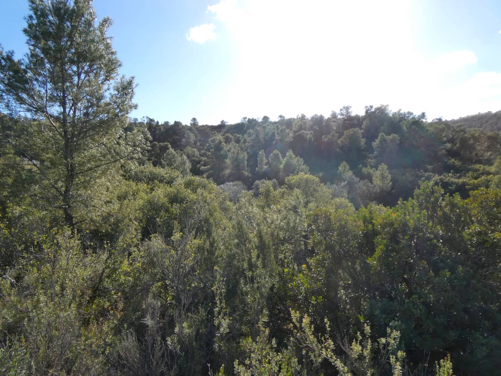 Finca/Herregård til salgs i Maella - € 7 500 (Ref: 7986067)