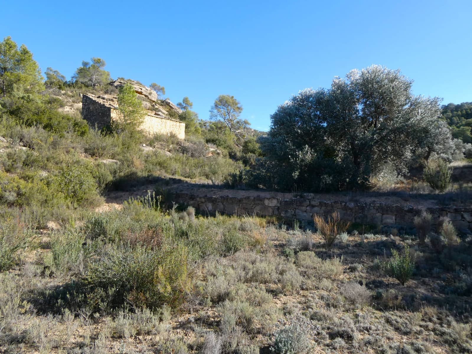 Finca/Herregård til salgs i Maella - € 7 500 (Ref: 7986067)