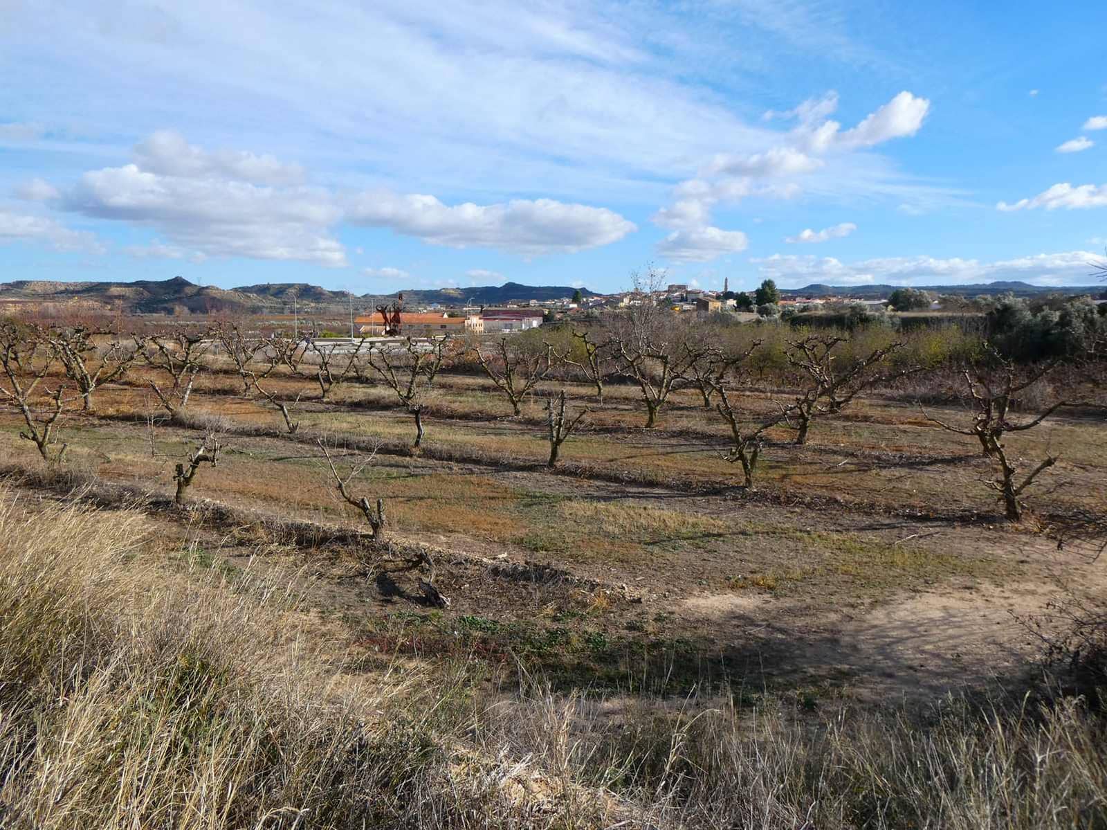 Finca/Herregård til salgs i Maella - € 26 000 (Ref: 7995583)