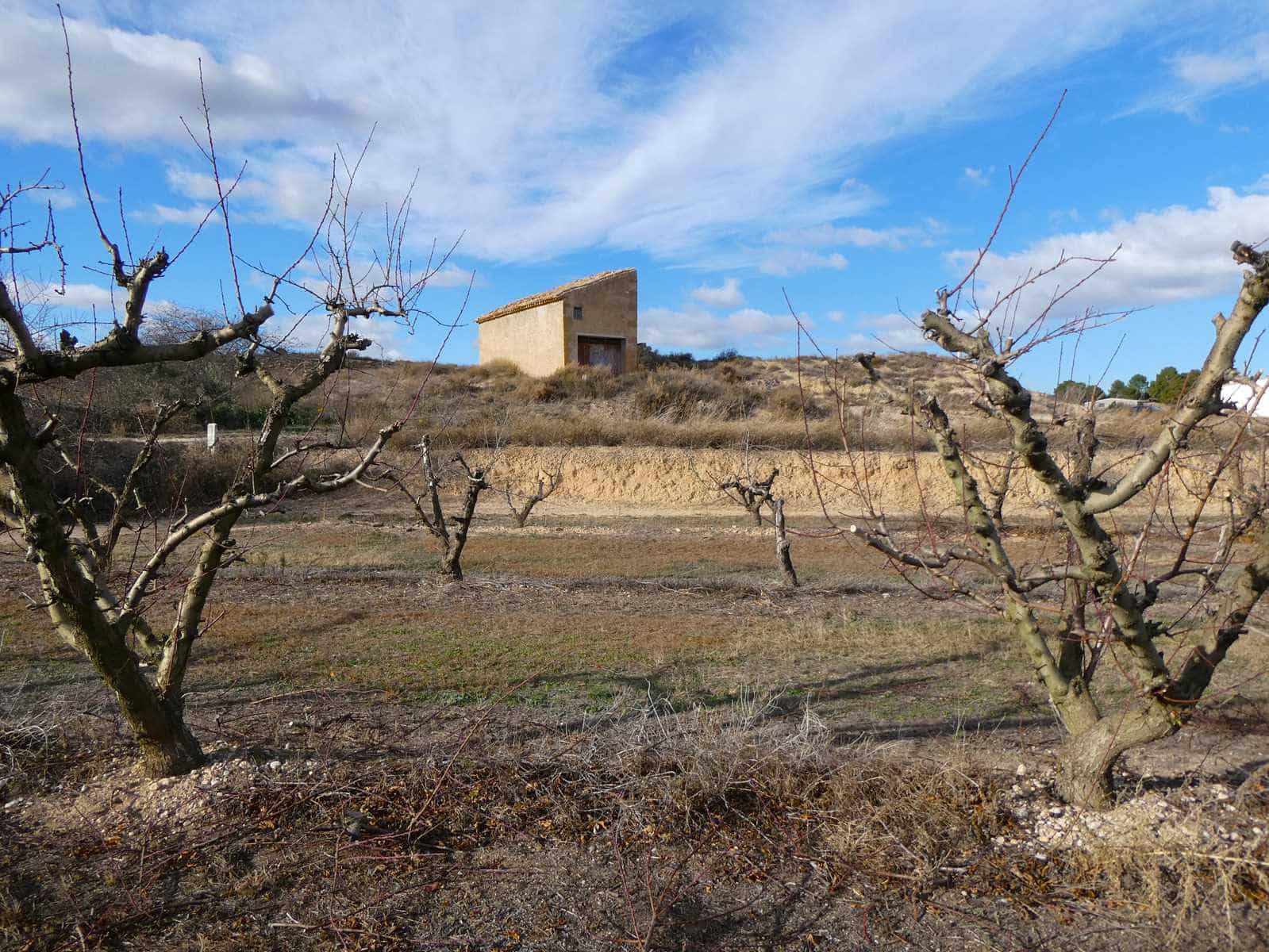 Finca/Country House for sale in Maella - € 26,000 (Ref: 7995583)