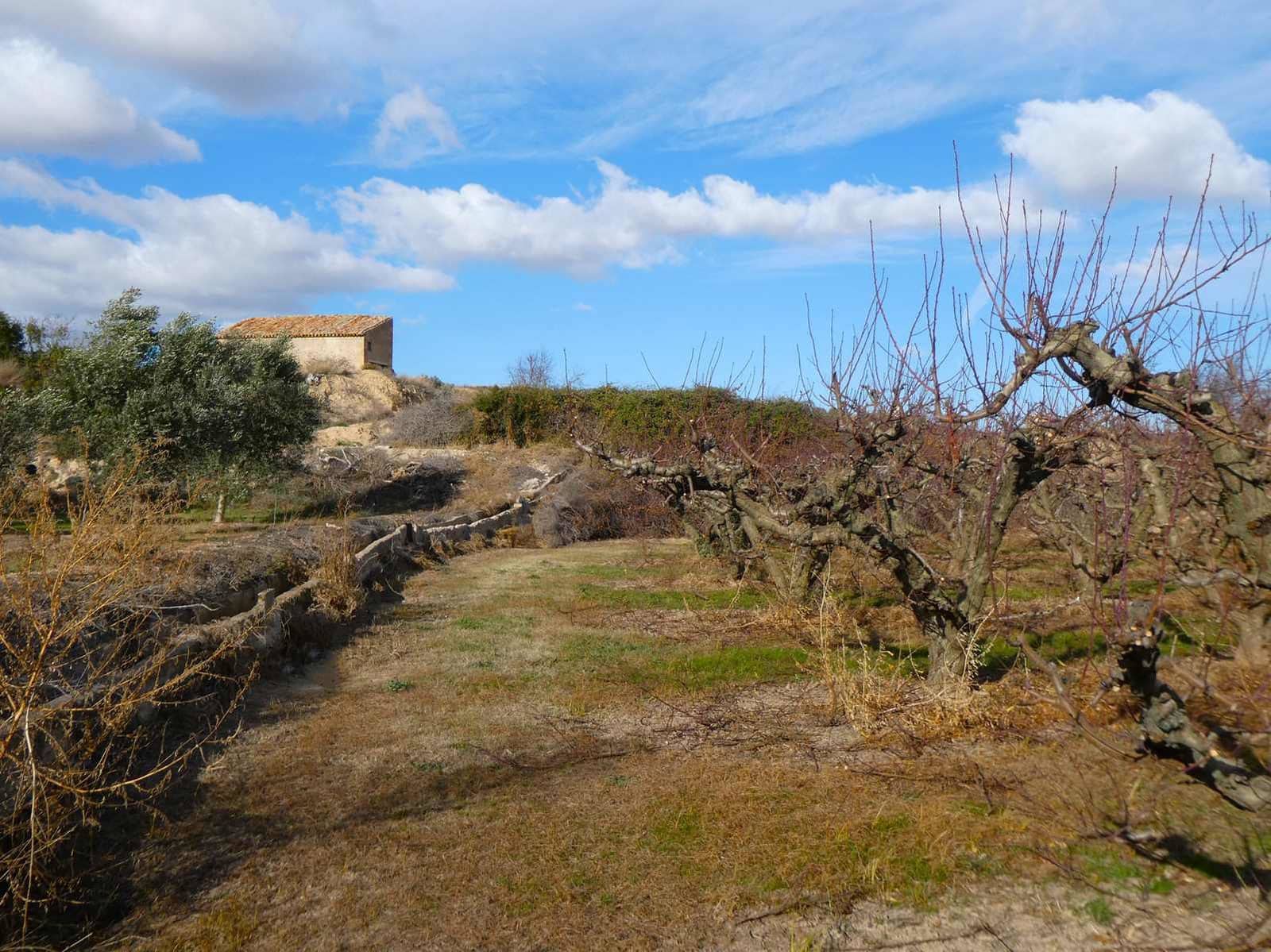 Finca/Country House for sale in Maella - € 26,000 (Ref: 7995583)