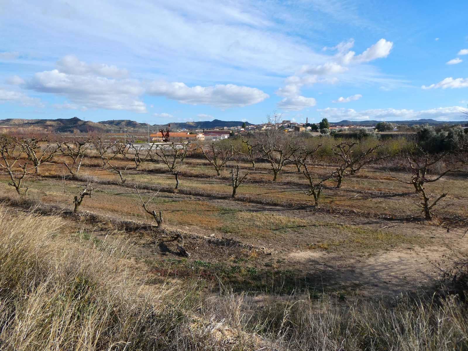 Finca/Country House for sale in Maella - € 26,000 (Ref: 7995583)
