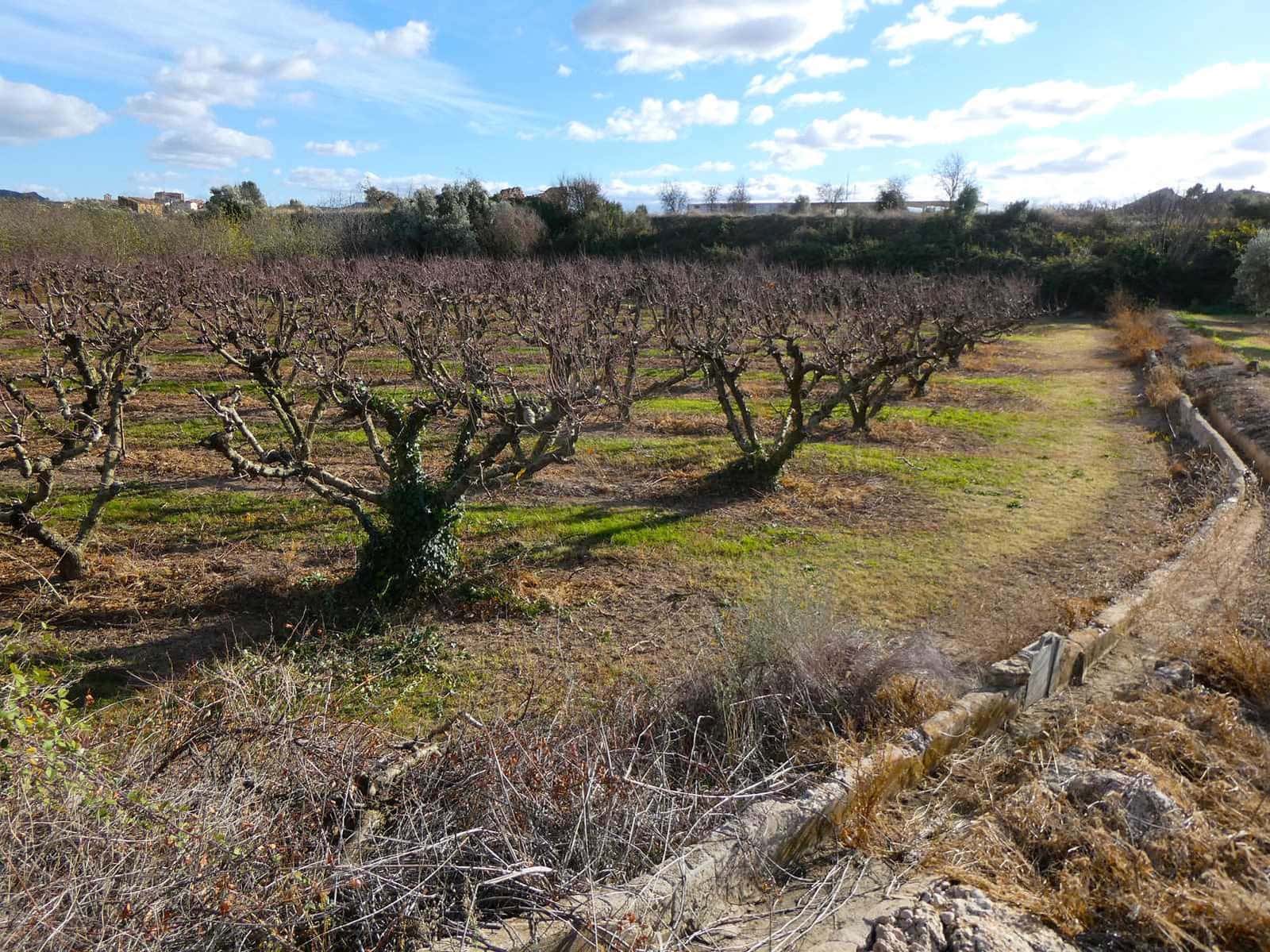 Finca/Country House for sale in Maella - € 26,000 (Ref: 7995583)