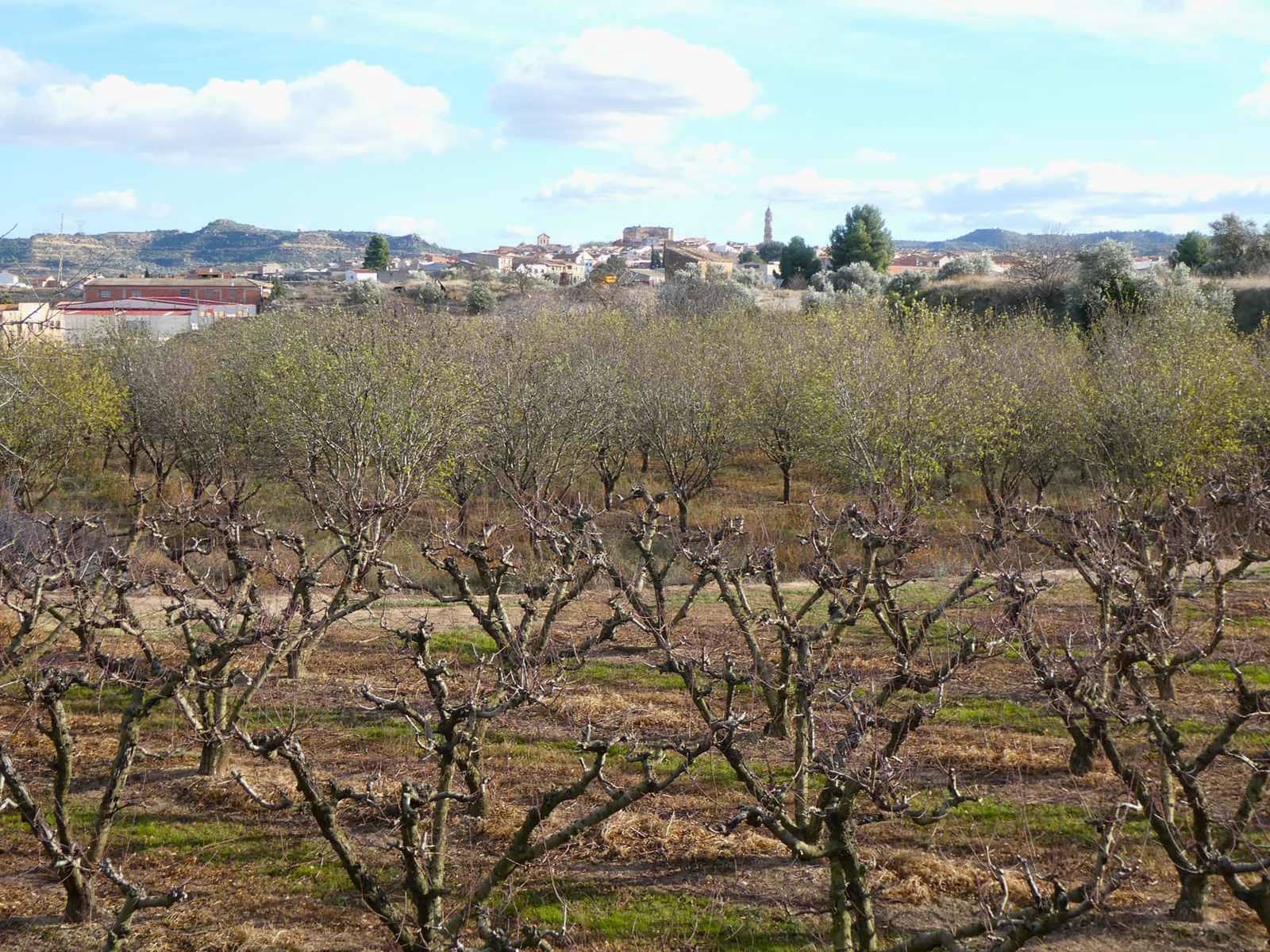 Finca/Country House for sale in Maella - € 26,000 (Ref: 7995583)
