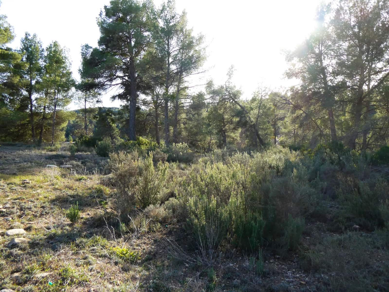 Finca/Landhuis te koop in Mazaleon met garage - € 49.000 (Ref: 8055352)