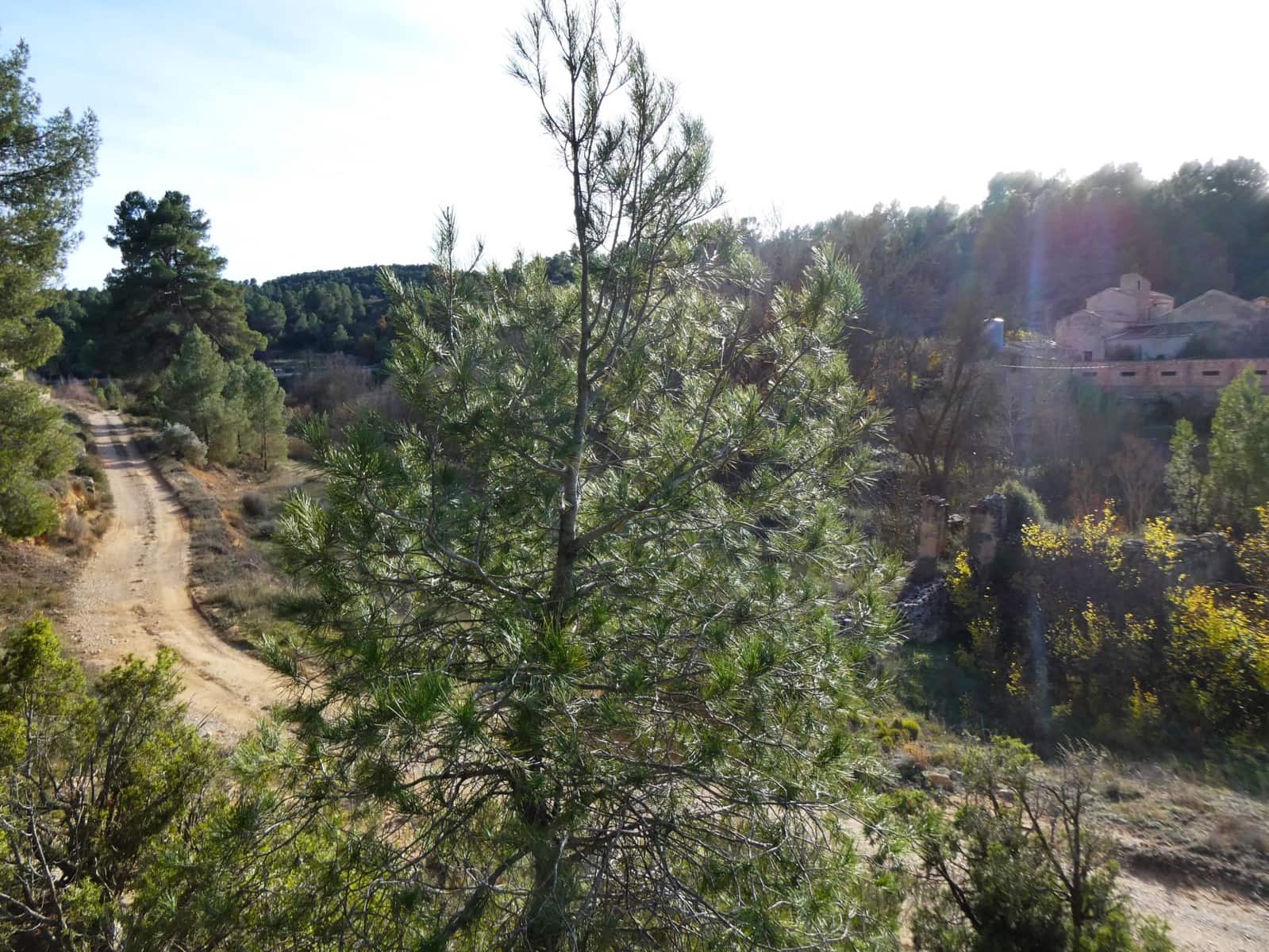 Finca/Landhuis te koop in Mazaleon met garage - € 49.000 (Ref: 8055352)