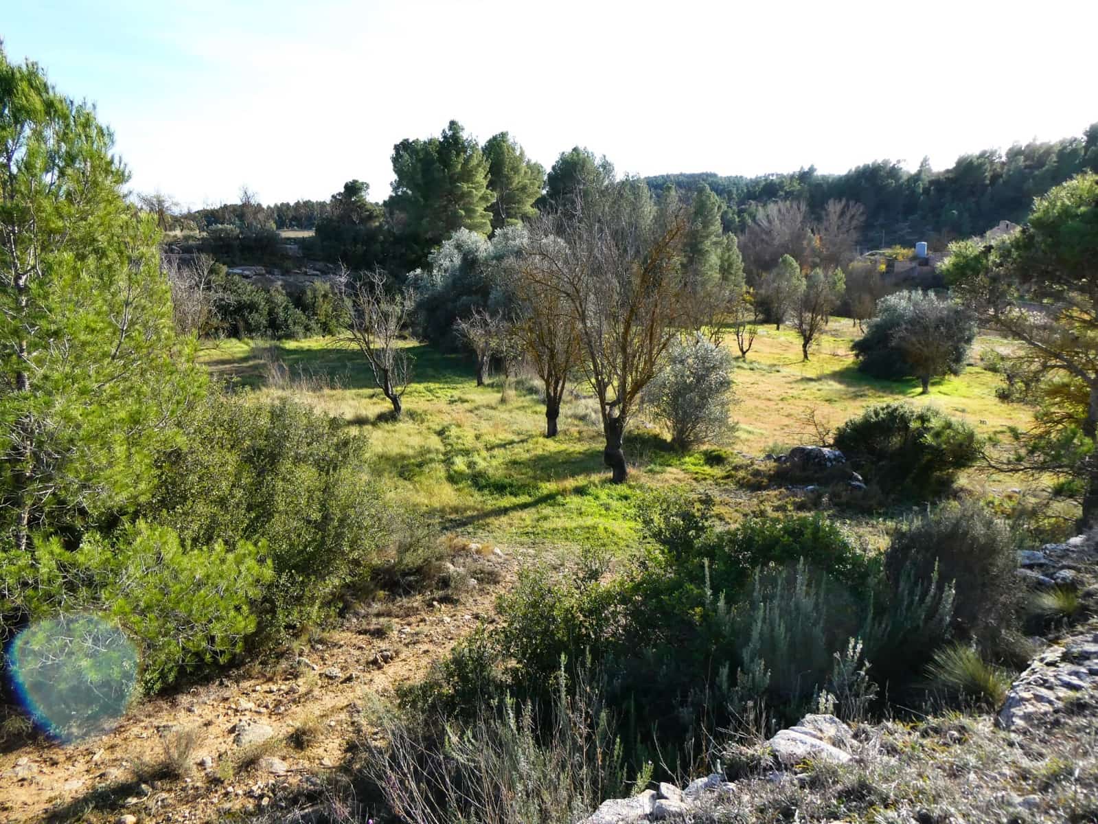 Finca/Landhuis te koop in Mazaleon met garage - € 49.000 (Ref: 8055352)