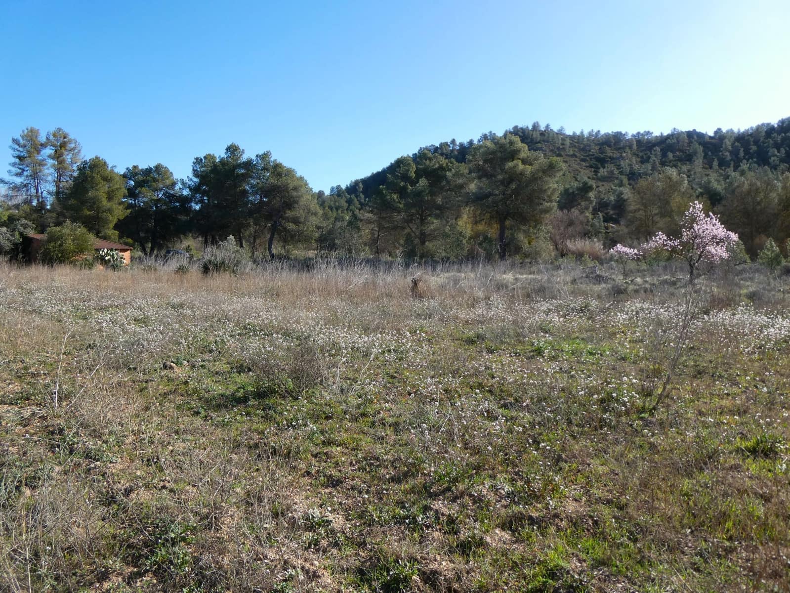 Finca/Country House for sale in Caseres - € 21,500 (Ref: 8135217)