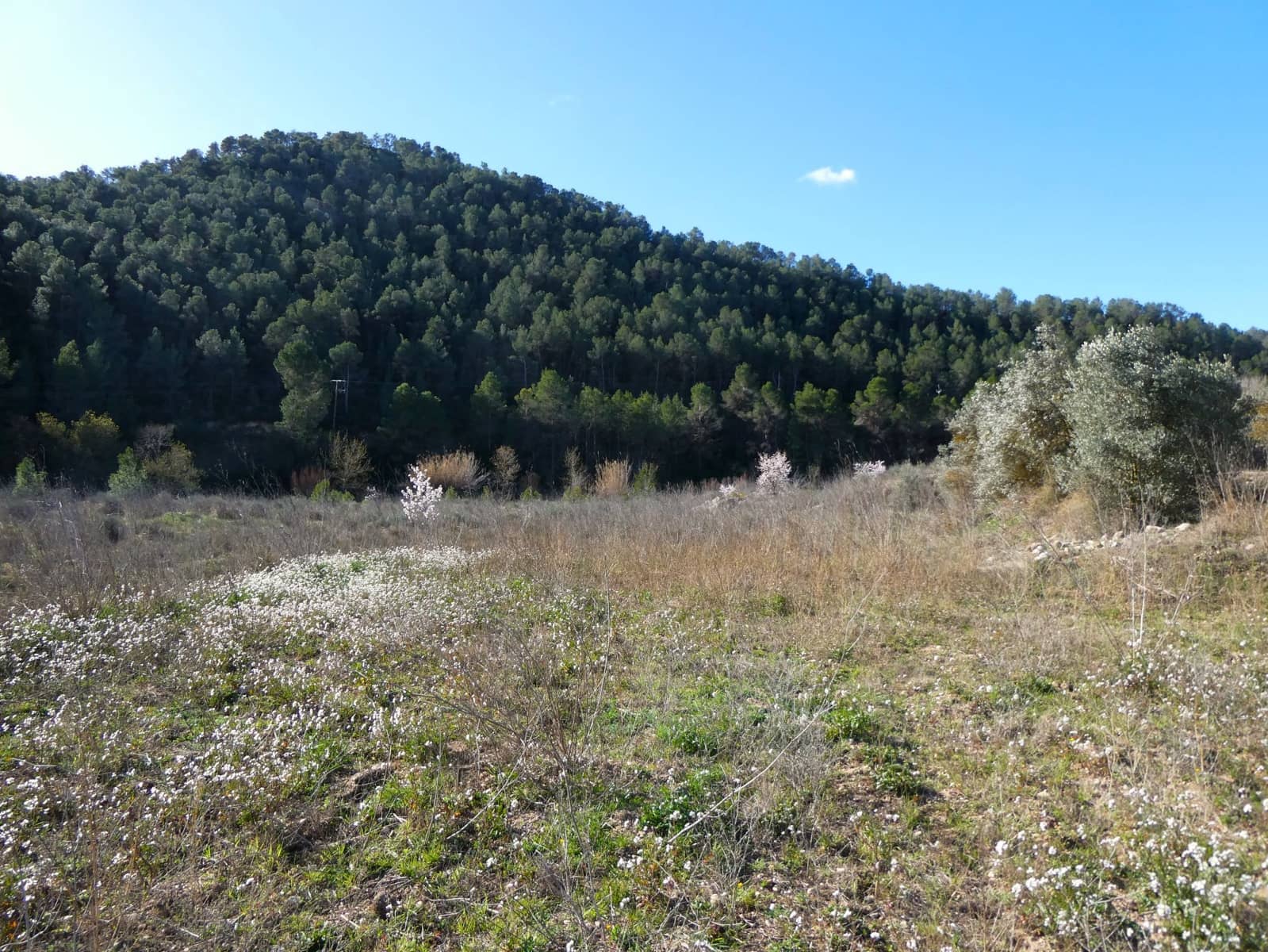 Finca/Country House for sale in Caseres - € 21,500 (Ref: 8135217)
