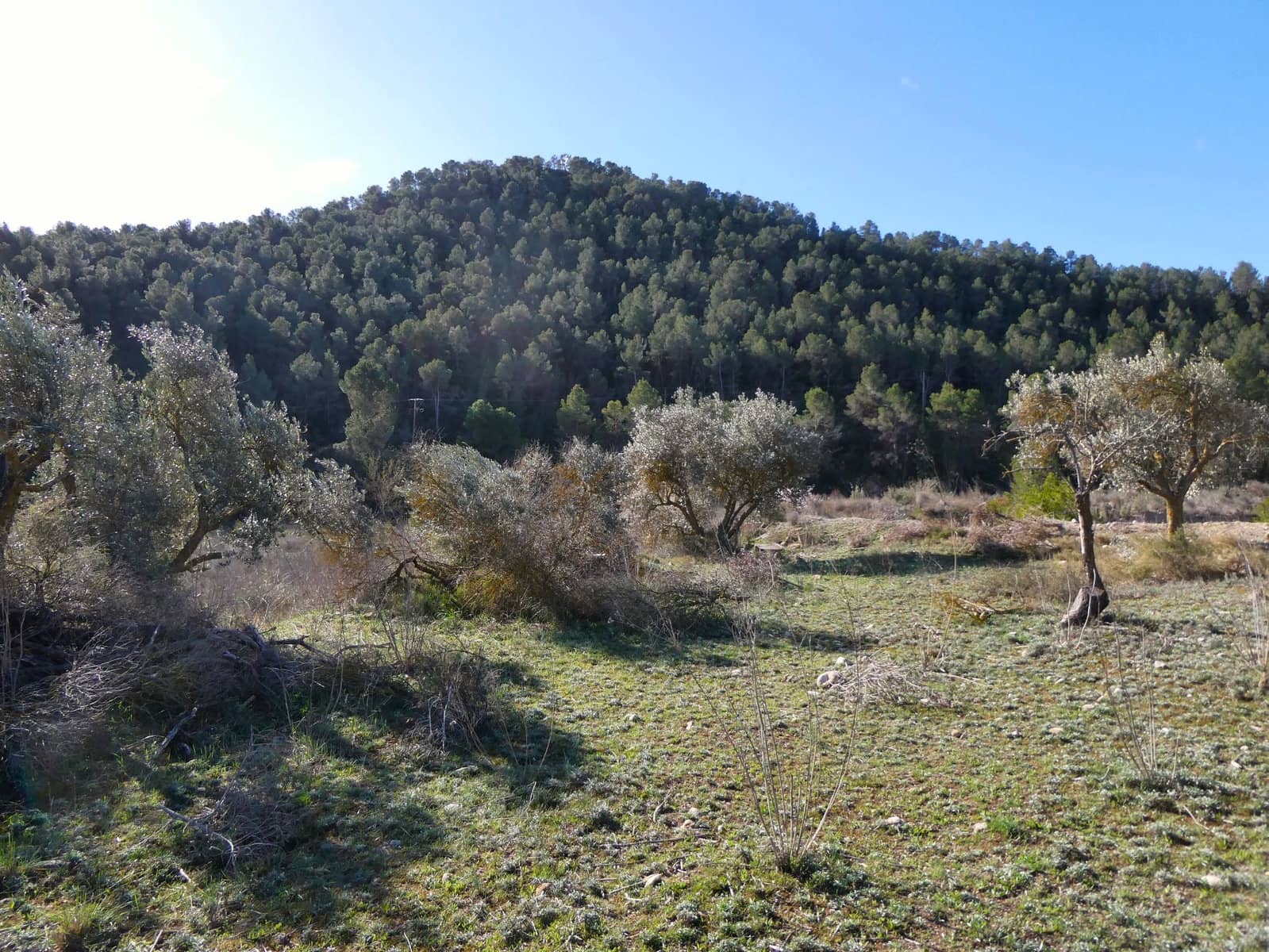 Finca/Landehus til salg i Maella - € 18.500 (Ref: 8135217)