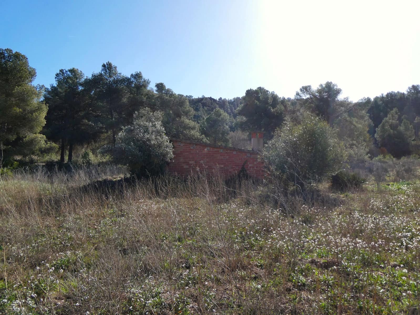 Finca/Landehus til salg i Maella - € 18.500 (Ref: 8135217)