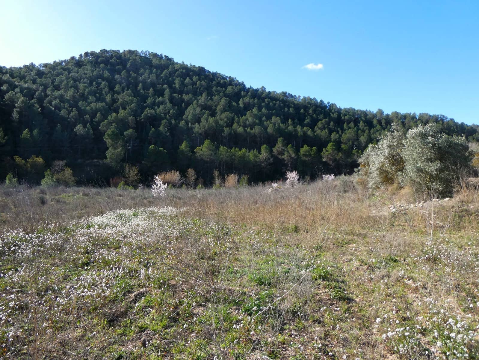 Finca/Landehus til salg i Maella - € 18.500 (Ref: 8135217)