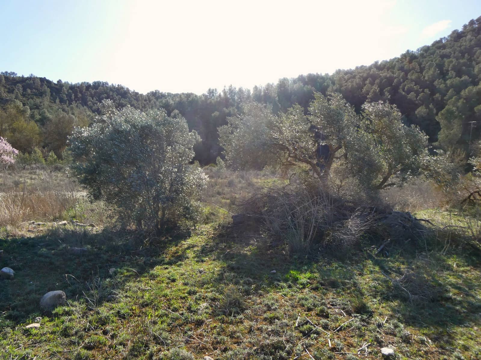 Finca/Landehus til salg i Maella - € 18.500 (Ref: 8135217)