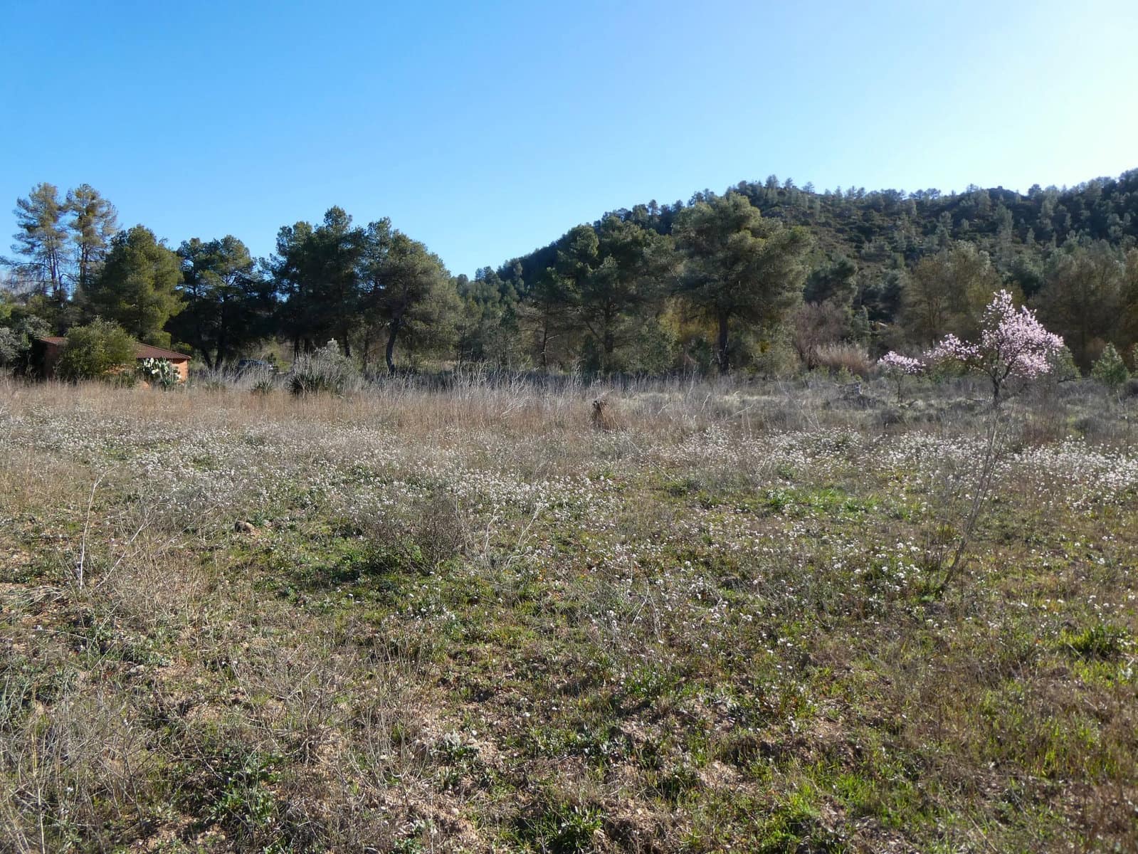 Finca/Landehus til salg i Maella - € 18.500 (Ref: 8135217)