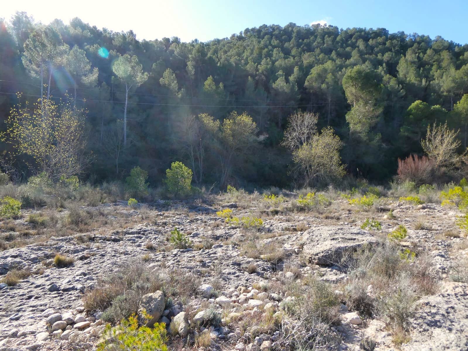 Finca/Landehus til salg i Maella - € 18.500 (Ref: 8135217)