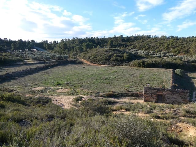 Finca/Herregård til salgs i Fabara - € 26 000 (Ref: 8135907)